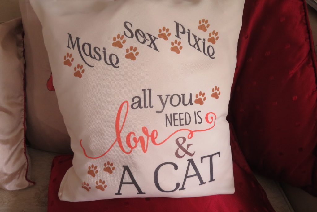 All you need is Love  & a (Cat / Dog) Cushion Cover