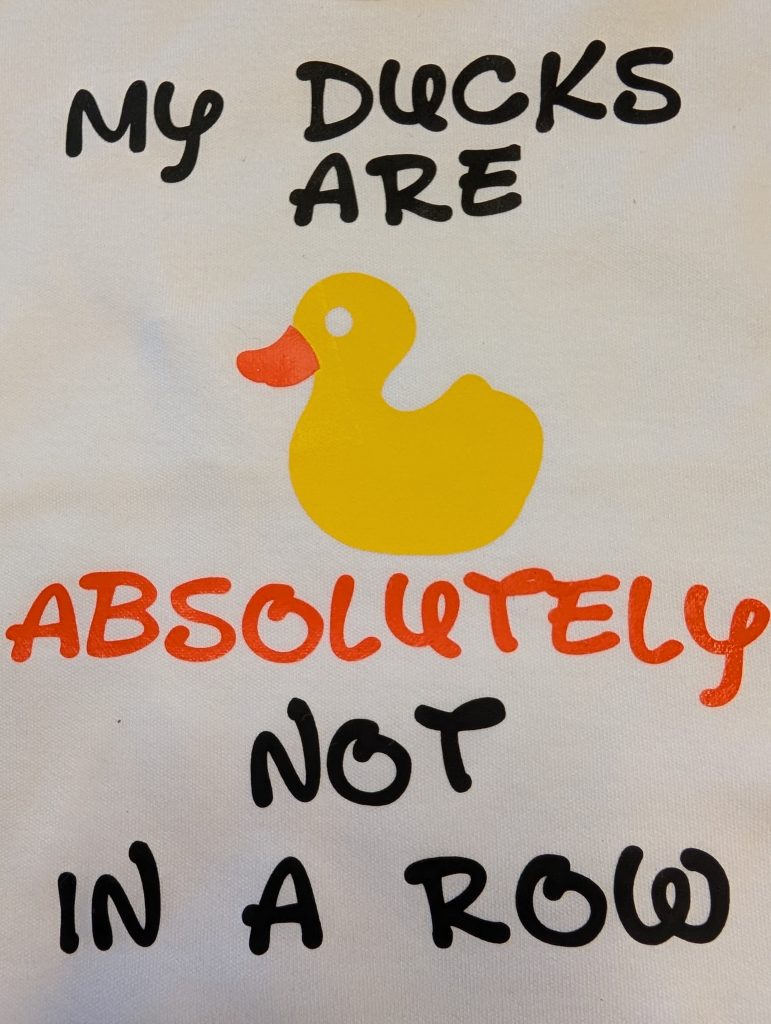 My Ducks are ABSOLUTELY now in a Row Baby Vest